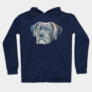 Watercolor Mastiff Dog Face Hoodie